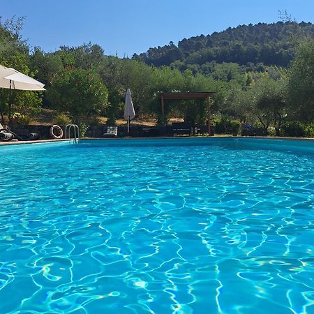 Agriturismo Poggio All'Olmo Greve in Chianti Exterior foto