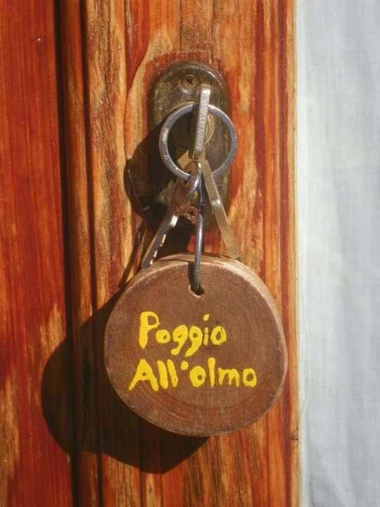 Agriturismo Poggio All'Olmo Greve in Chianti Exterior foto