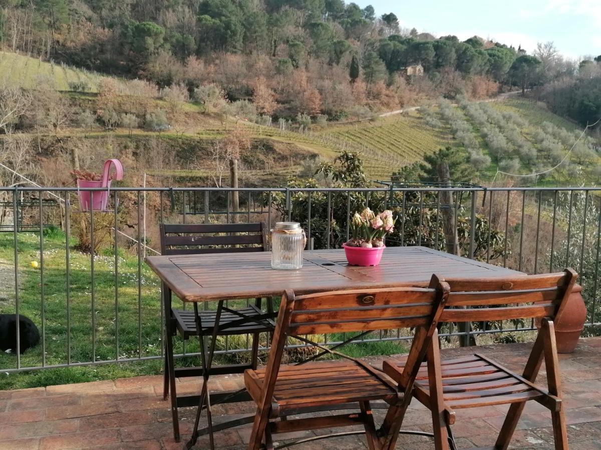 Agriturismo Poggio All'Olmo Greve in Chianti Exterior foto