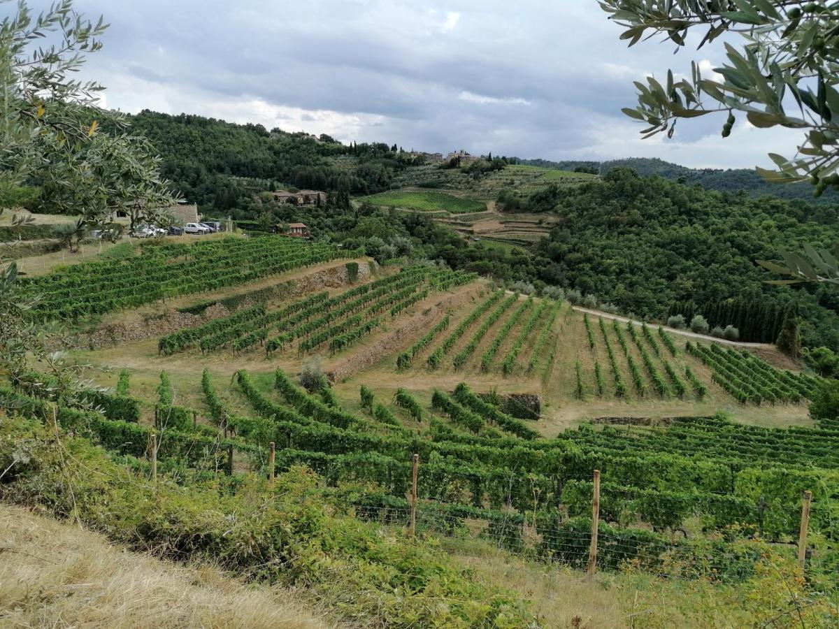 Agriturismo Poggio All'Olmo Greve in Chianti Exterior foto