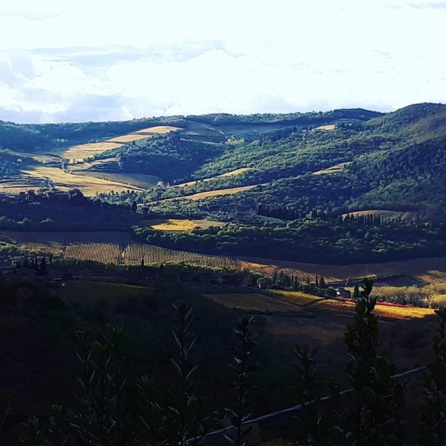 Agriturismo Poggio All'Olmo Greve in Chianti Exterior foto
