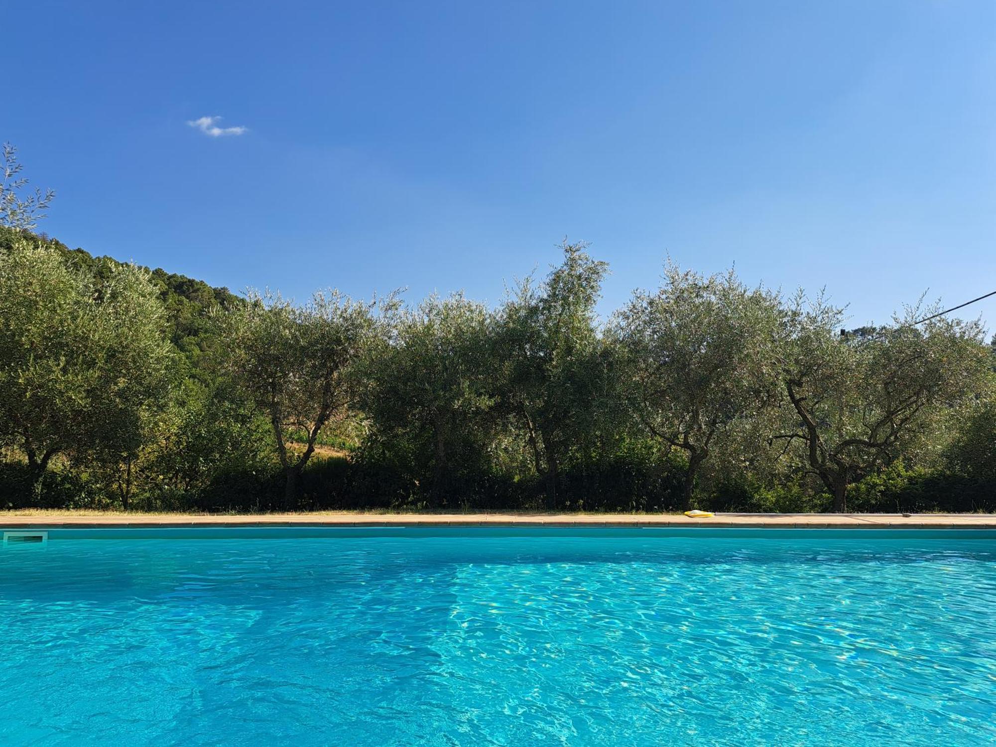 Agriturismo Poggio All'Olmo Greve in Chianti Exterior foto