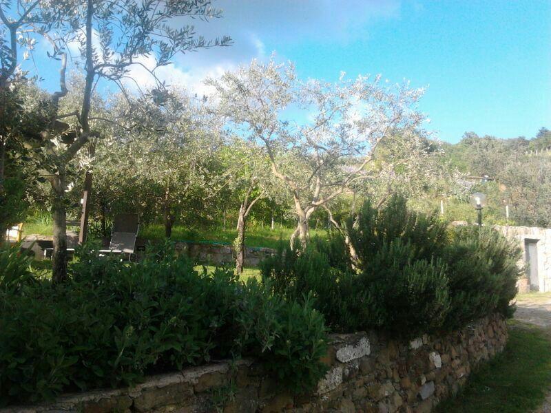 Agriturismo Poggio All'Olmo Greve in Chianti Exterior foto