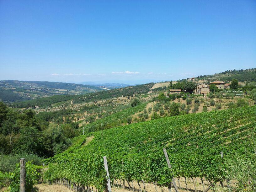 Agriturismo Poggio All'Olmo Greve in Chianti Exterior foto