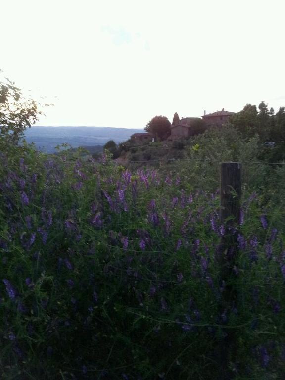 Agriturismo Poggio All'Olmo Greve in Chianti Exterior foto