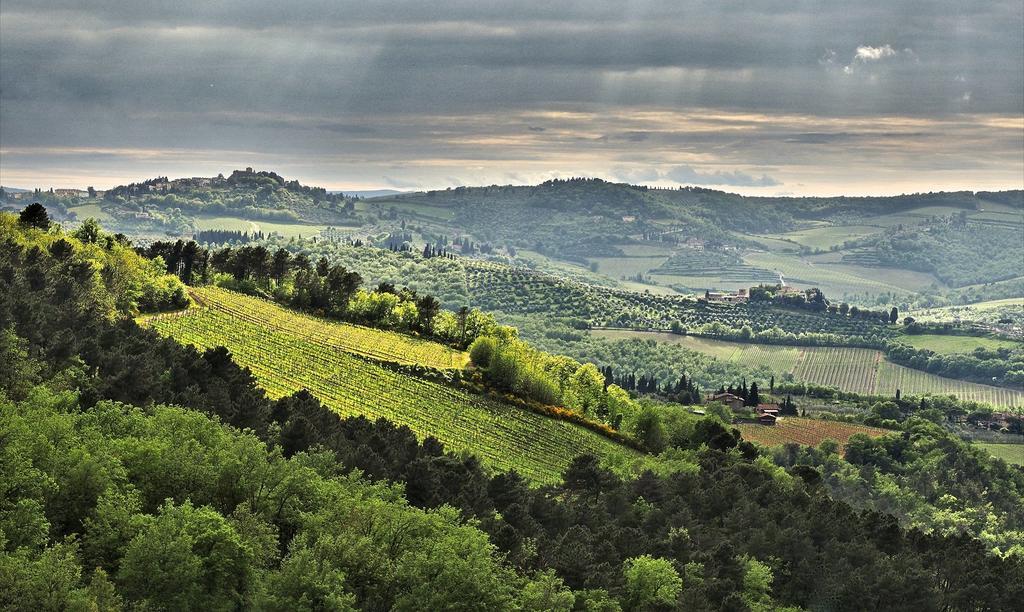 Agriturismo Poggio All'Olmo Greve in Chianti Exterior foto
