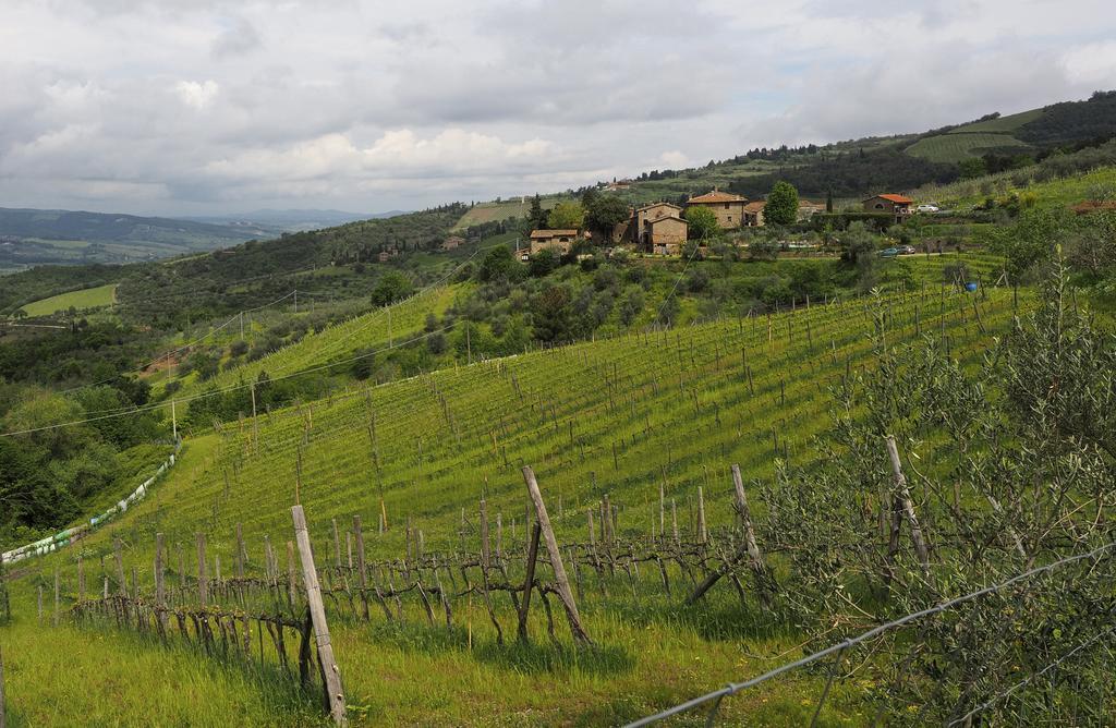 Agriturismo Poggio All'Olmo Greve in Chianti Exterior foto