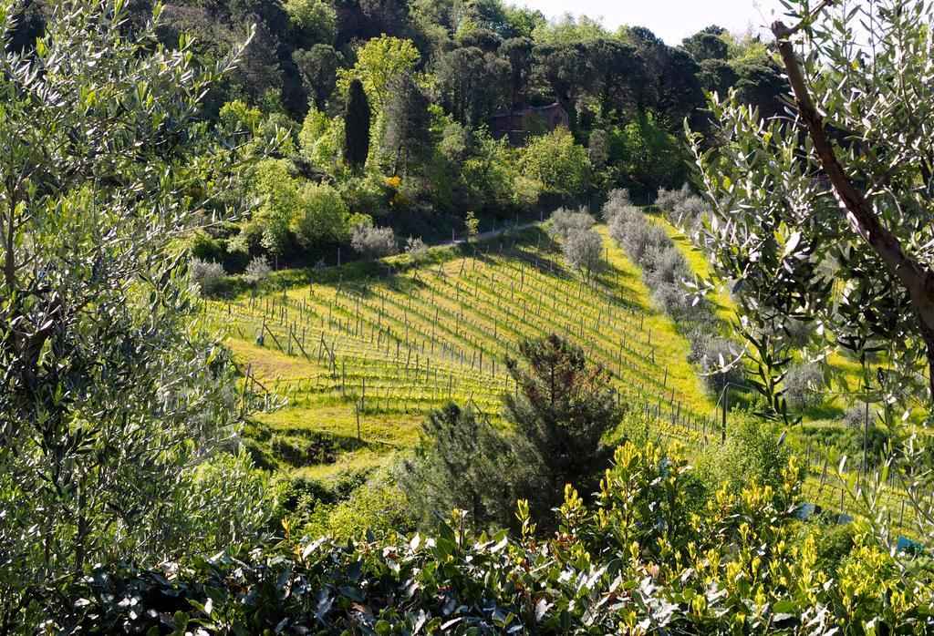 Agriturismo Poggio All'Olmo Greve in Chianti Exterior foto
