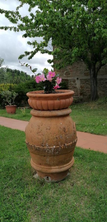 Agriturismo Poggio All'Olmo Greve in Chianti Exterior foto