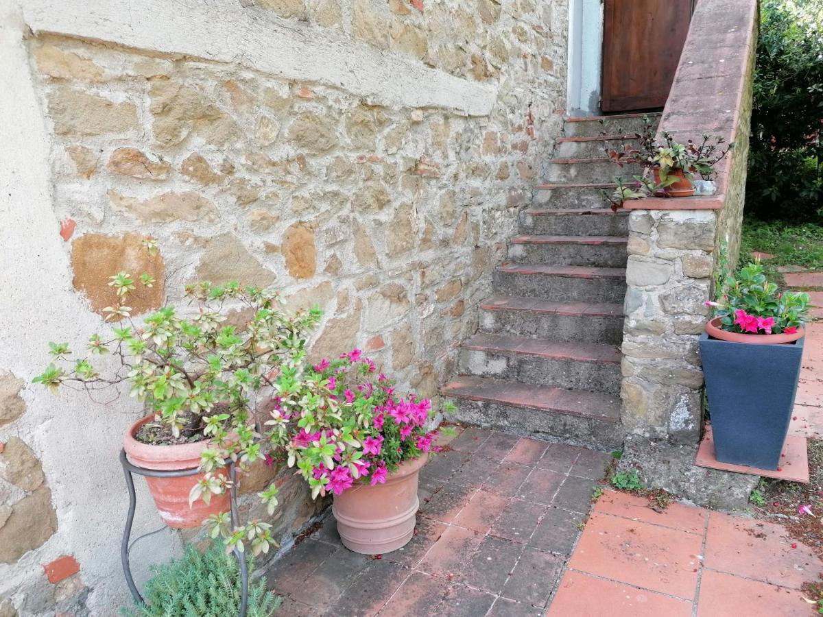 Agriturismo Poggio All'Olmo Greve in Chianti Exterior foto